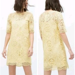 Zara NWT Sz_S Lace Floral Yellow Dress